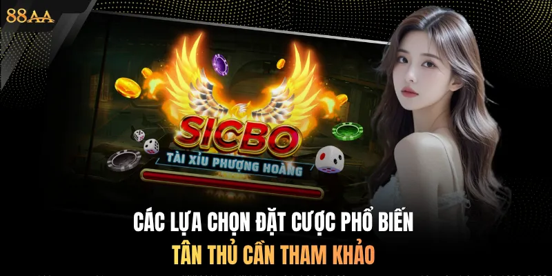 Các lựa chọn đặt cược phổ biến tân thủ cần tham khảo